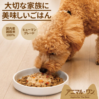 アニマル・ワンについて