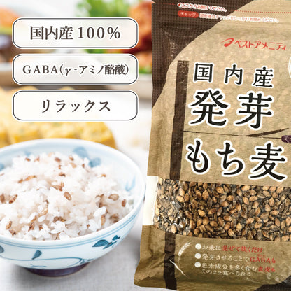 国内産 発芽もち麦