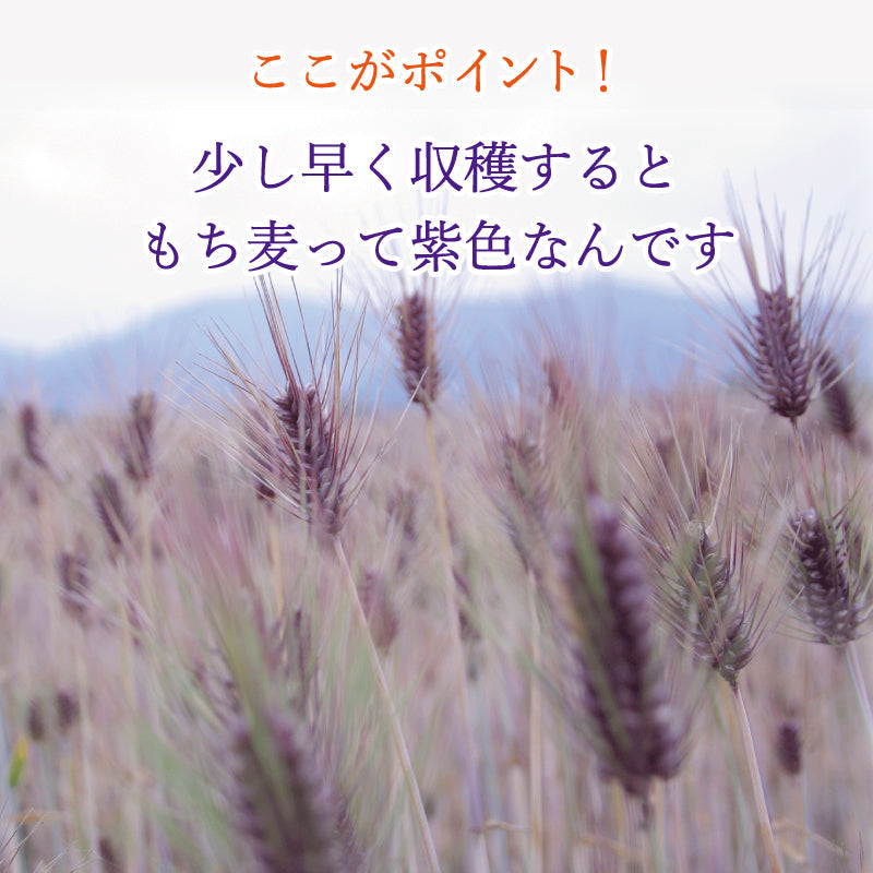 国内産 紫もち麦 280g