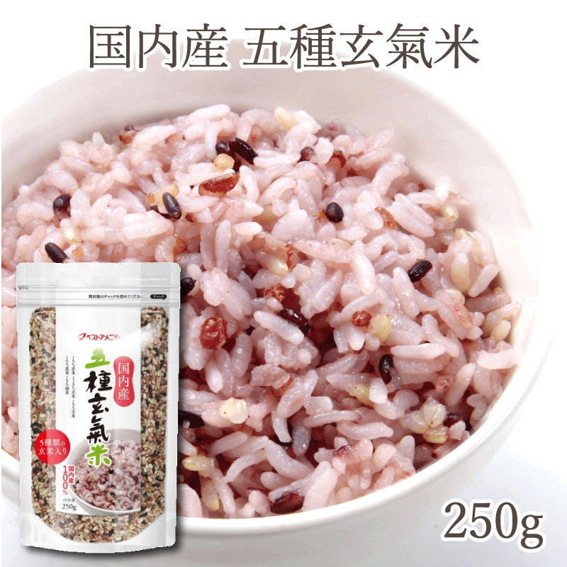 国内産 五種玄氣米 250g