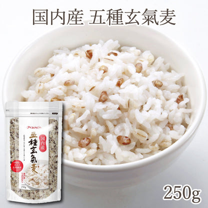 国内産 五種玄氣麦 250g