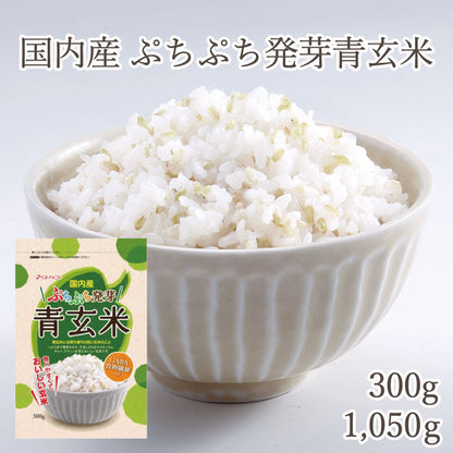 国内産 ぷちぷち発芽青玄米