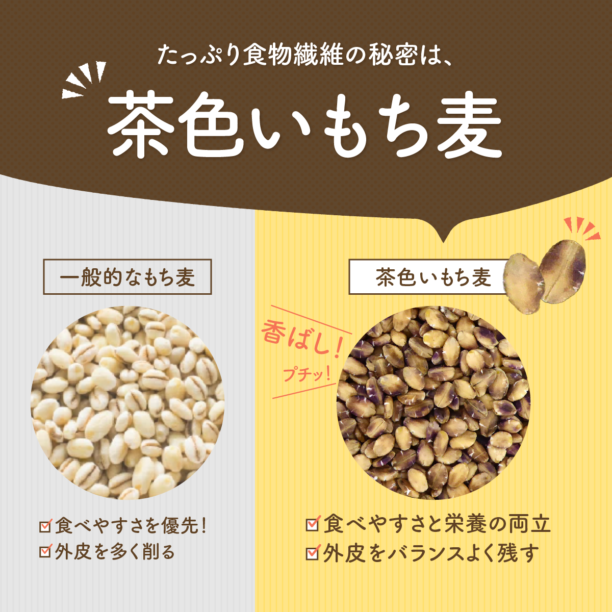 国内産 もち麦ファイバーブレンド