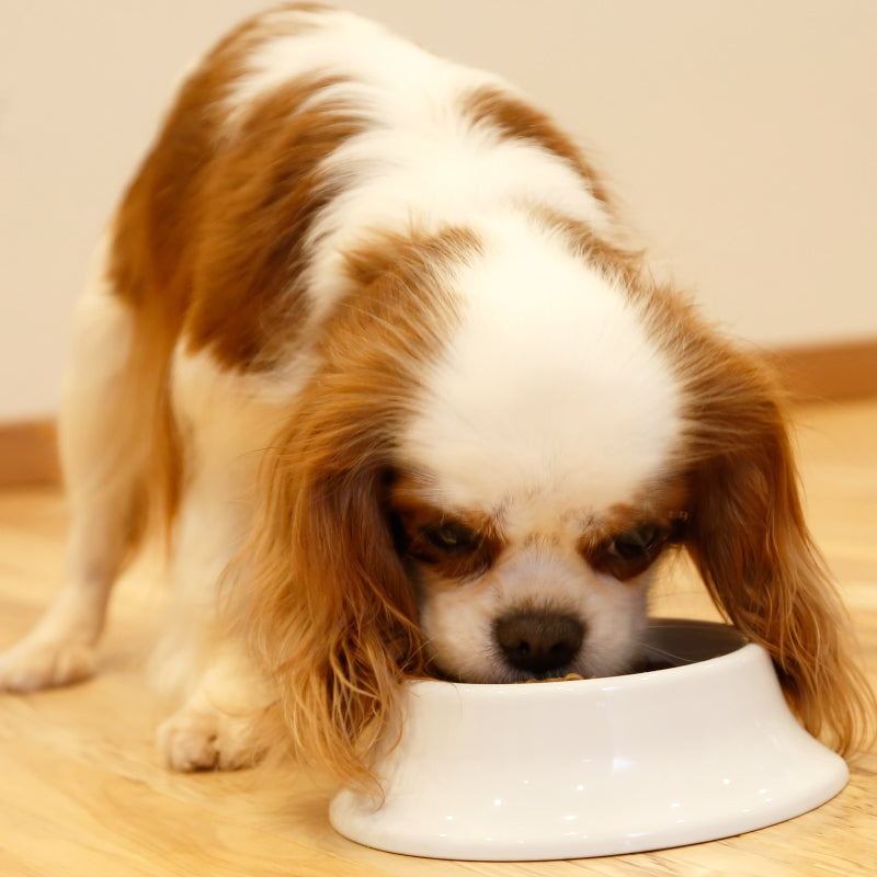 犬の雑穀ごはん ライト チキン