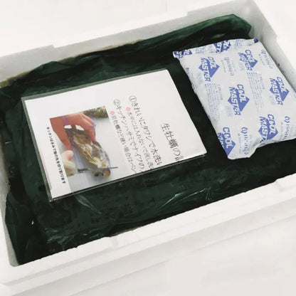 【熊本県上天草産】岩牡蠣（殻付き 生食可）【受注生産・同梱配送不可】