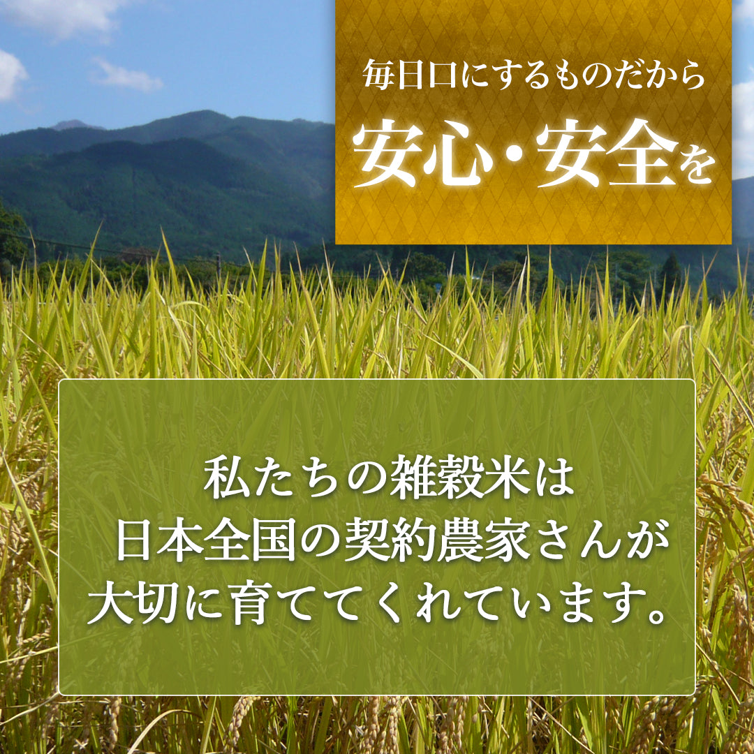 国内産三十三雑穀米 10袋まとめ買い – 雑穀本家 縁屋