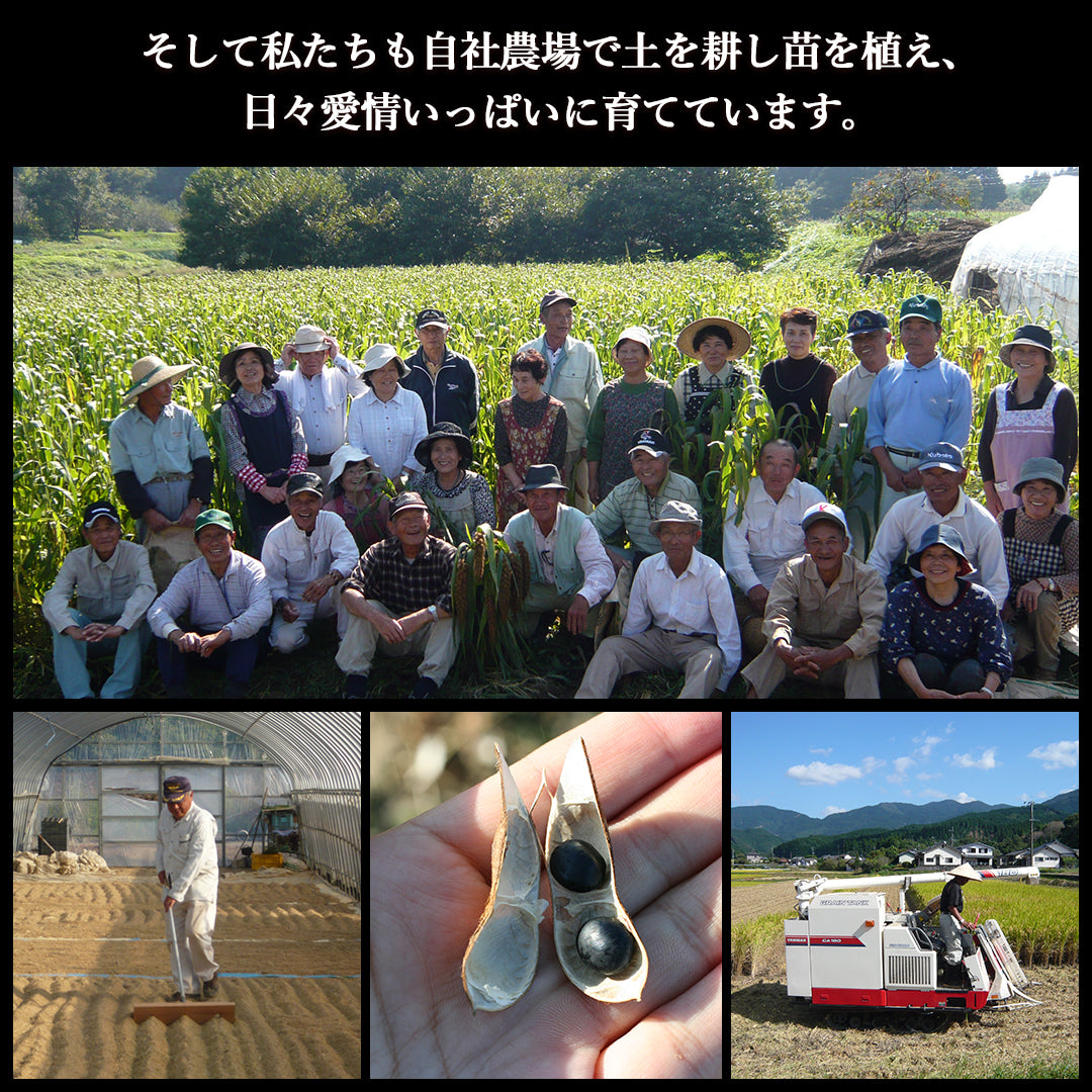 国内産三十三雑穀米 10袋まとめ買い – 雑穀本家 縁屋