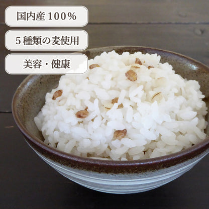 国内産 発芽もち麦習慣 250g
