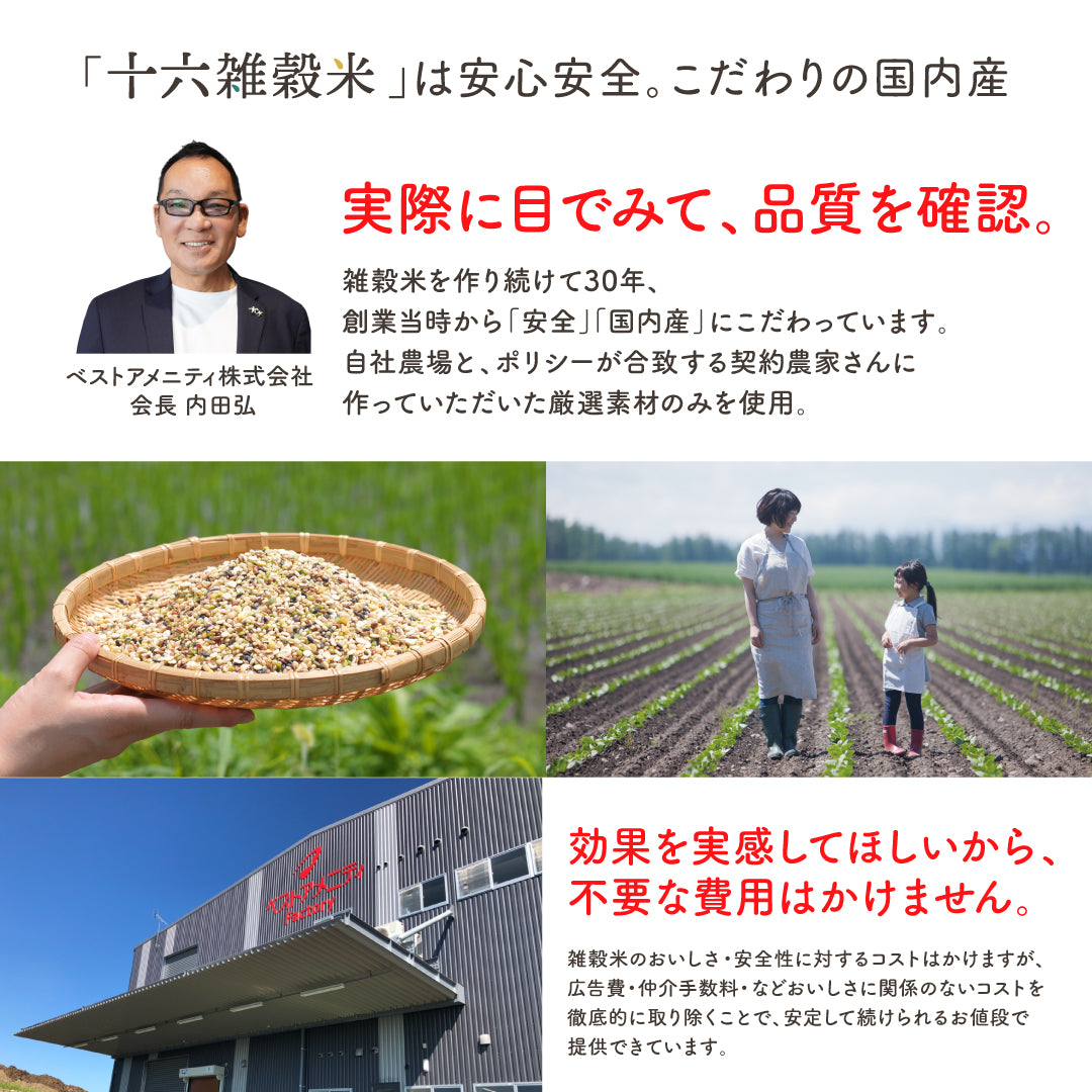 【定期便】国内産おいしい十六雑穀米 300g